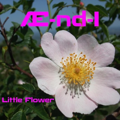 Little Flower - Single