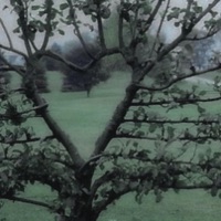 commonplace - Single - riptenshi