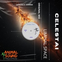 Liminal Space - Single - Celestai