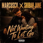 Not Wanting To Let Go - Single