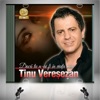 Tinu Veresezan - O noapte si-o zi