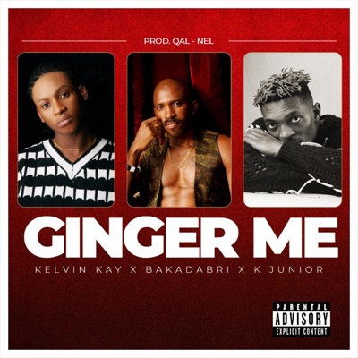 Ginger Me (feat. Baka Dabri) - Single