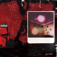 never good enough - Renimaaa