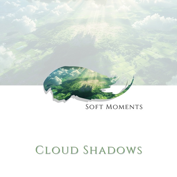 Cloud Shadows