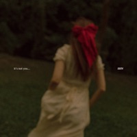 it's not you... - Single - SHN