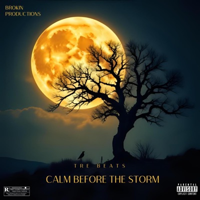Calm Before The Storm - Single