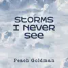 Storms I Never See
