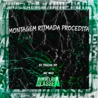 Montagem Ritmada Procedita - Single - DJ Tralha 011 & MC NG3