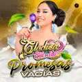 Promesas Vacías