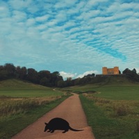 ארמדילו - Single - ברנע