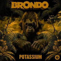 Potassium - Single - Brondo