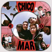 vem ca — Chico e o Mar, belina