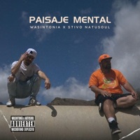 Paisaje Mental (feat. Stivo/Natusoul) - Single - Wasintonía