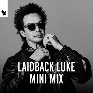Laidback Luke Mini Mix (DJ Mix)