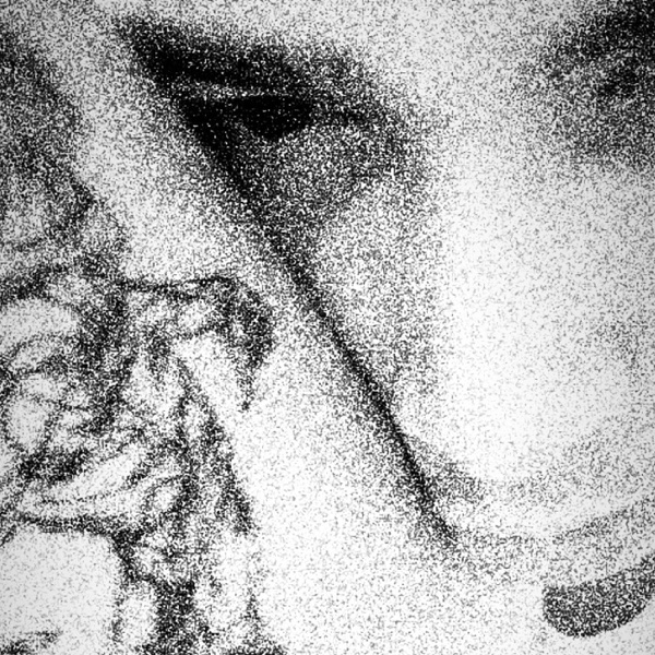 Wonky Lad Forever Freestyle
