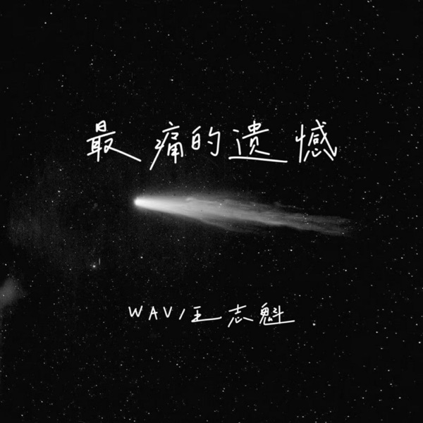 最痛的遗憾 - Single