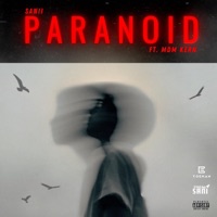 Paranoid (feat. Mdm Kern) - Single - Sanii