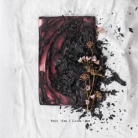 Tell 'Em I Love 'Em - Single - Fly Jordy & Wes Castle
