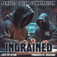 Ingrained (feat. DJ Obi & BEATAHOE) - Perfect Color Combination