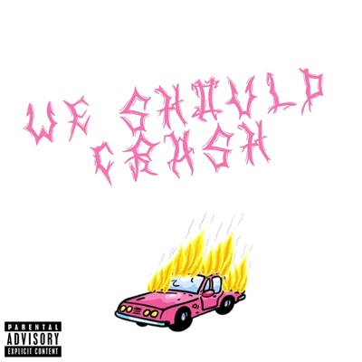 We Should Crash - Single