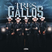 Tres Gallos - Single - Los Carreños De Durango