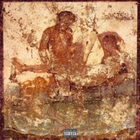 Oral Insert - Single - Red Pond