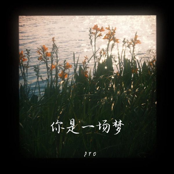你是一场梦 - Single