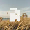 Daylight