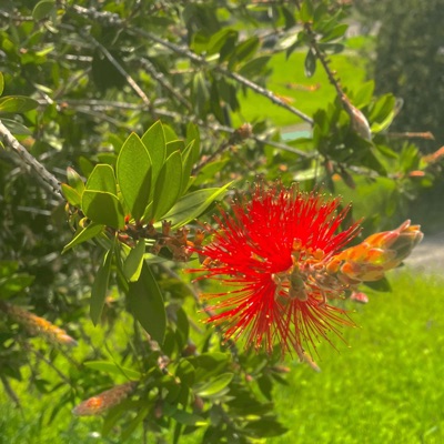 When I'm Cold (feat. Jxm.Bxm) - Single