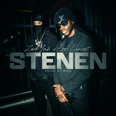 Stenen - Single