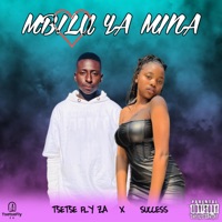 MBILU YA MINA (feat. Success) - Single - Tsetse Fly ZA