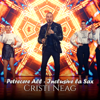 Petrecere All - Inclusive la Sax - Cristi Neag