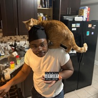 Stress Free (feat. ryxn) - Single - KoiFsh