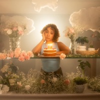 nubes y claveles - Navi