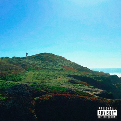 In The Valley - Single