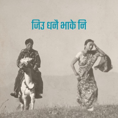 Song - Jiu Dhanai Bhakeni - VibyN