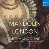 Sonata for Mandolin and Basso continuo: II. Allegro artwork