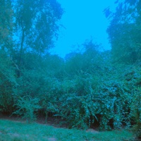 Recycle Bin - Blackbird