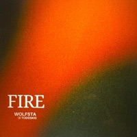 Fire - Single - Wolff359 & toddskii™