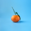 Icon Oranges - Single