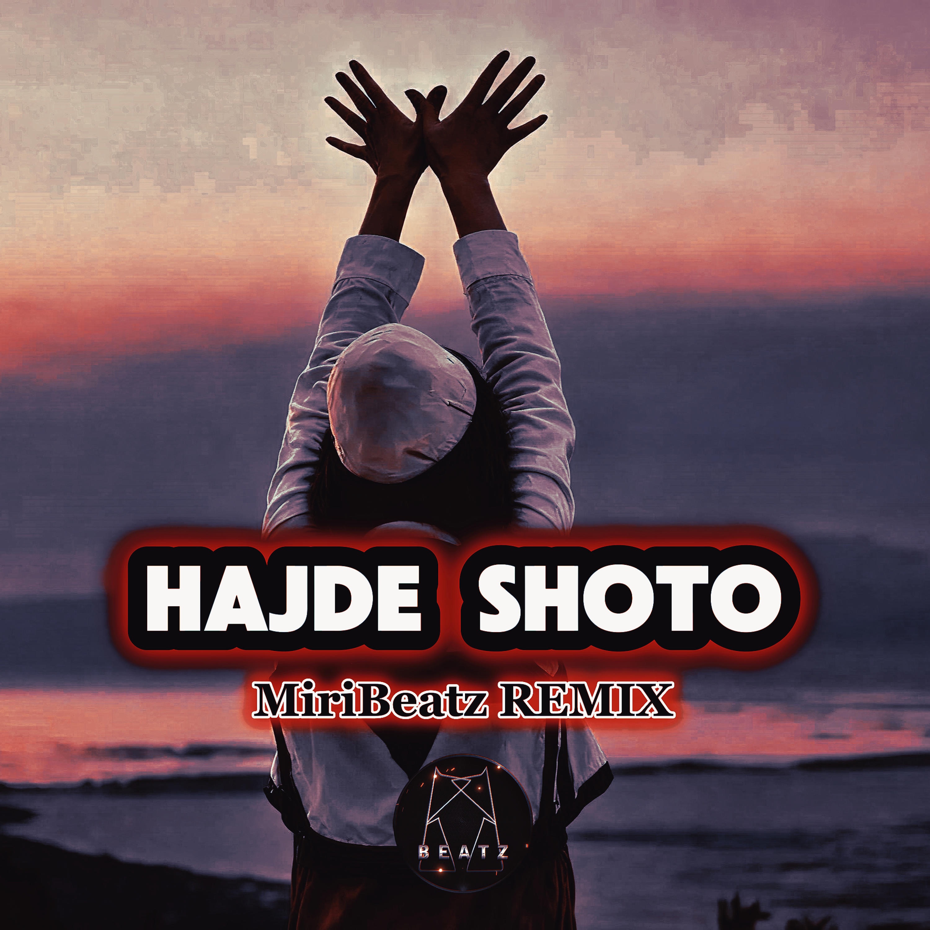 HAJDE SHOTO | MiriBeatz - Single