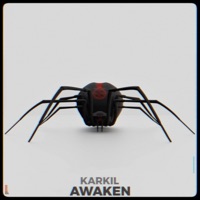AWAKEN - Single - KARKIL