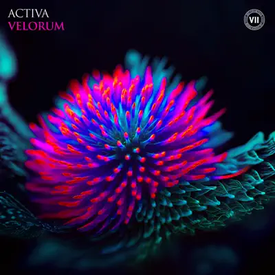 Ascolta 'Velorum - EP' di Activa & Mekk V