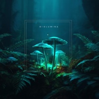 Biolumina - Single - Golfwagen Wolf