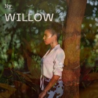Willow (Sped Up) - Single - Ny