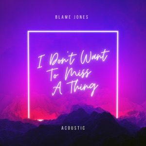 I Don't Want to Miss a Thing (Acoustic)