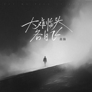 大难临头各自飞 - Single