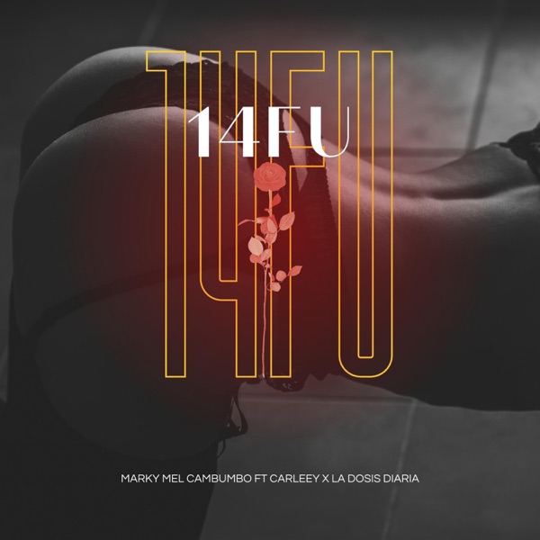 14FU (feat. Carleey & la dosis diaria)