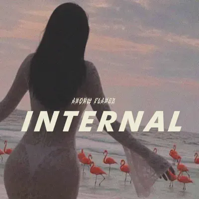 Ascolta 'INTERNAL' di ANDRW FLAMEZ