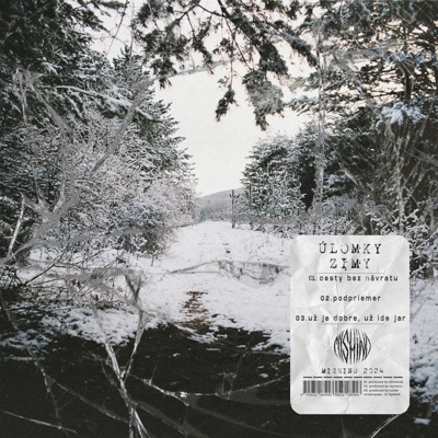 ÚLOMKY ZIMY - Single